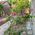 Stone Garden 2