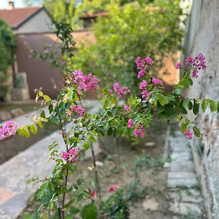 Stone Garden 2